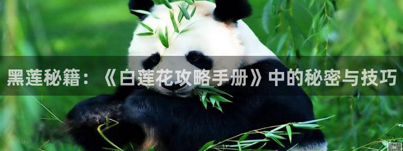 理工系女神漫画免费